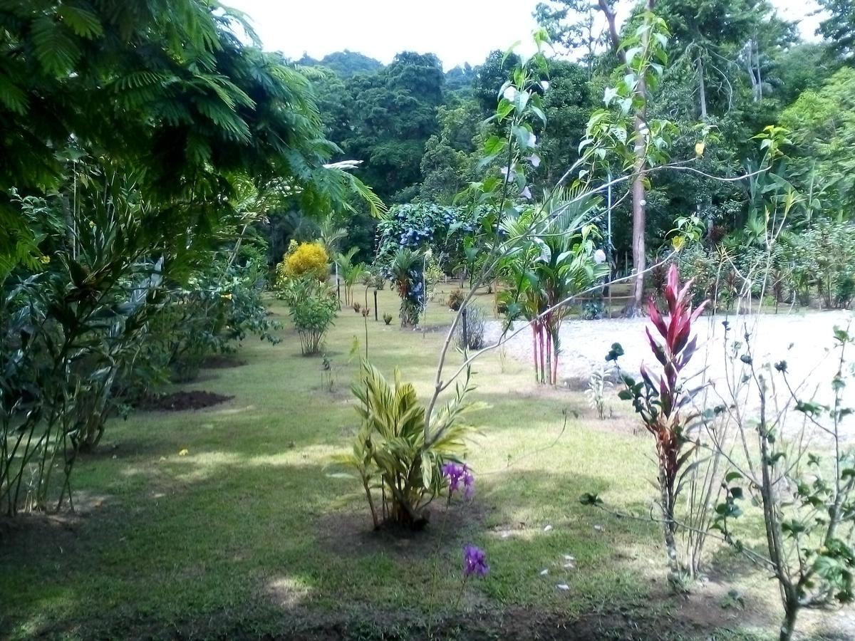 Puerto Vargas Lodge 卡维塔 外观 照片
