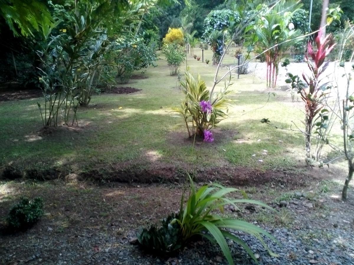 Puerto Vargas Lodge 卡维塔 外观 照片